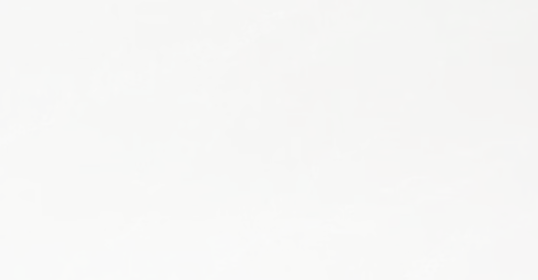 Carrara White Marble